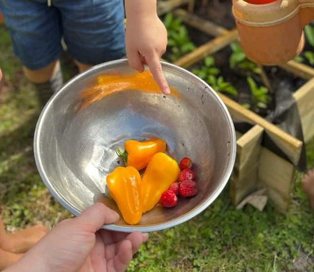 Kinderhanden wassen verse paprika