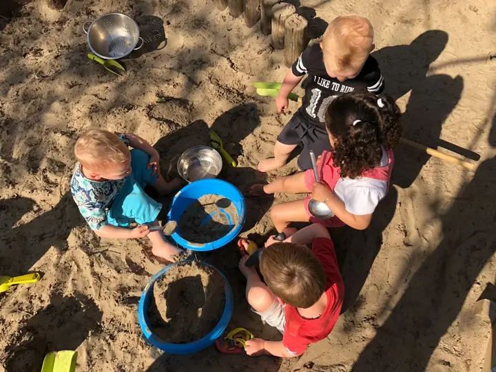Foto van Zandvlinder in Dordrecht