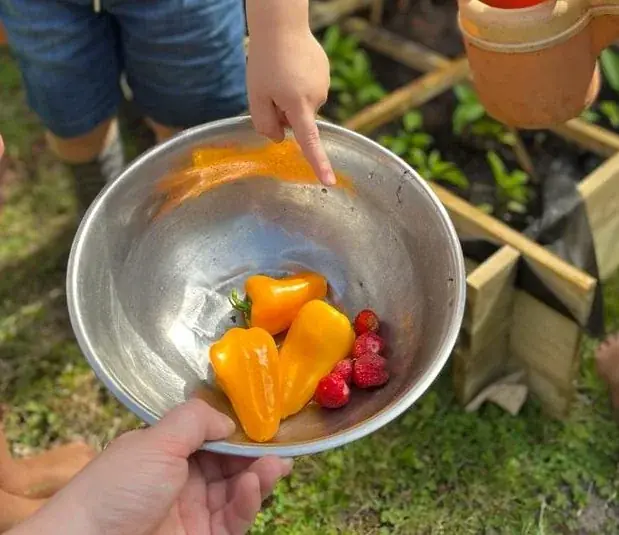 Kinderhanden wassen verse paprika